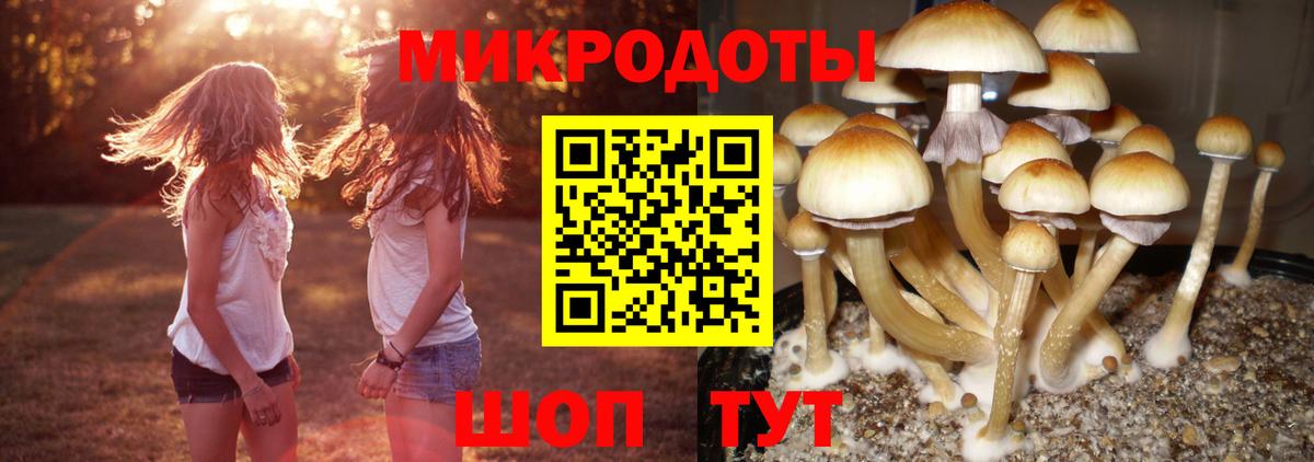 Псилоцибиновые грибы прущие грибы  Псилоцибиновые грибы прущие грибы  Вход с VPN  Сибай 